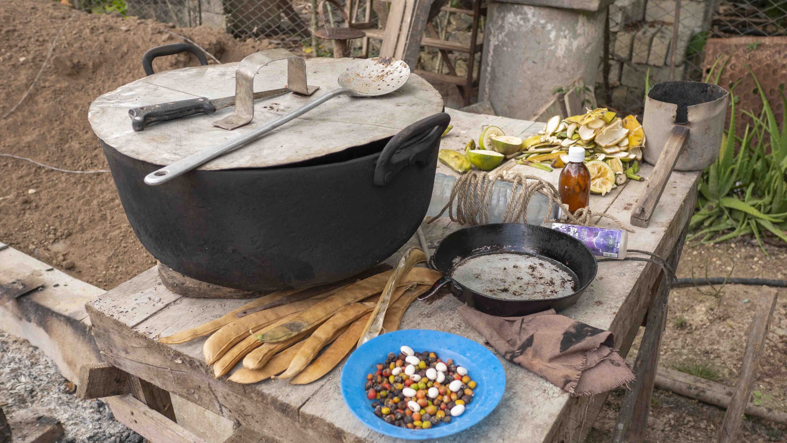 Cuba food1