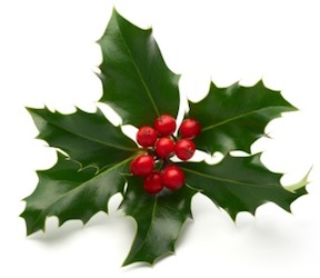 holly sprig